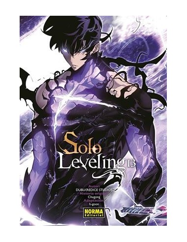 SOLO LEVELING Nº13