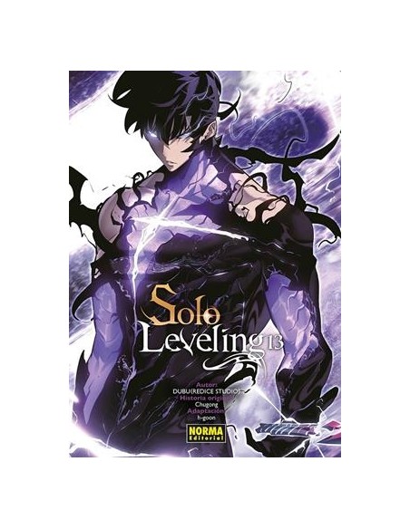 SOLO LEVELING Nº13