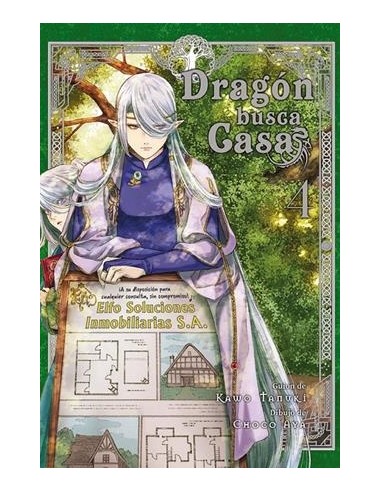 DRAGON BUSCA CASA Nº04