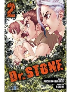 DR, STONE Nº02