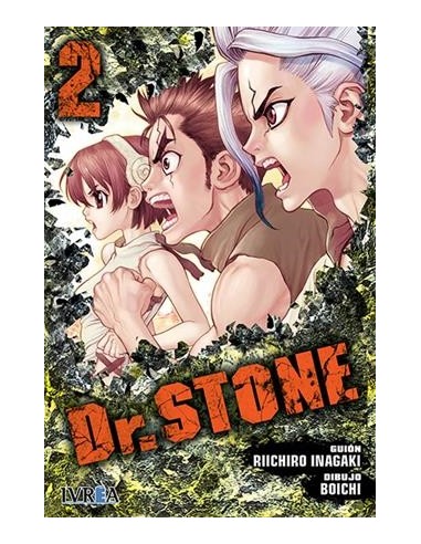 DR, STONE Nº02