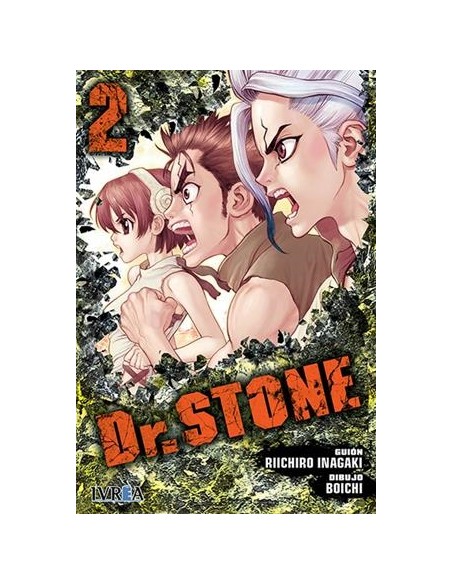 DR, STONE Nº02