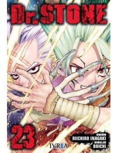 DR, STONE Nº23