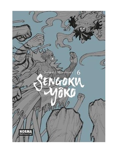 SENGOKU YOKO Nº06