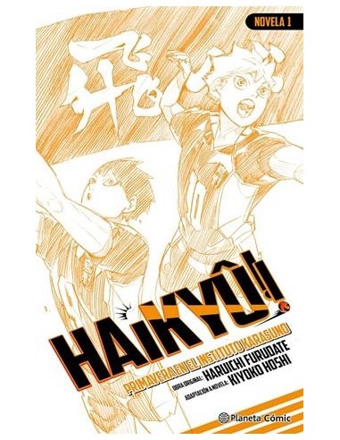 HAIKYÛ!! (NOVELA) Nº 01