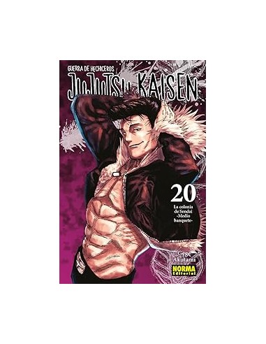 JUJUTSU KAISEN Nº20