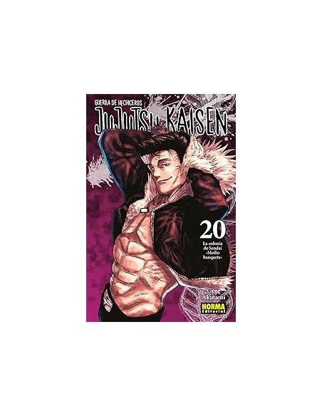 JUJUTSU KAISEN Nº20
