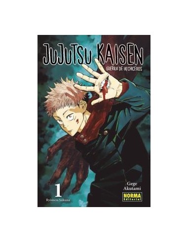 JUJUTSU KAISEN Nº01 (REEDICION)