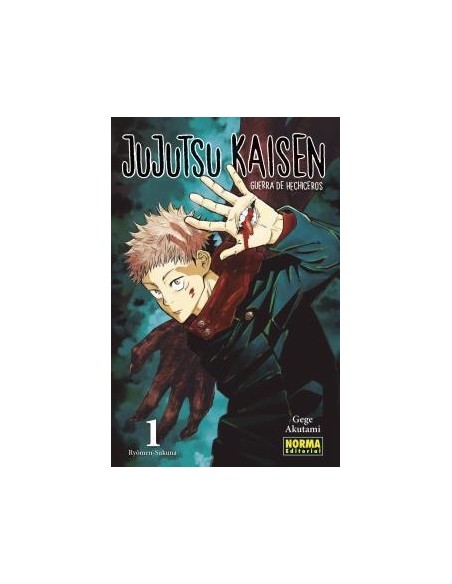 JUJUTSU KAISEN Nº01 (REEDICION)