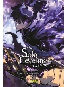 SOLO LEVELING Nº14