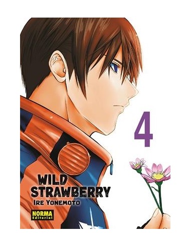 WILD STRAWBERRY Nº04