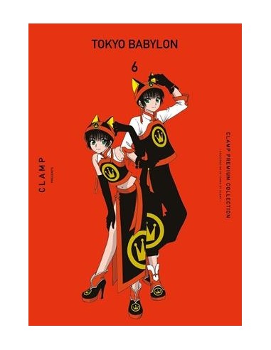 TOKYO BABYLON Nº06