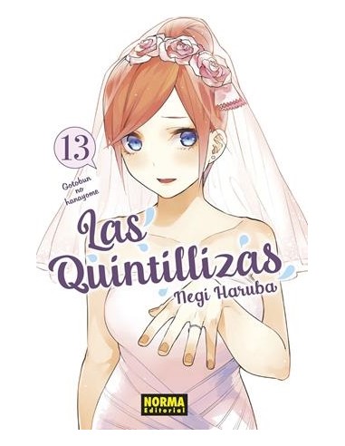LAS QUINTILLIZAS Nº13