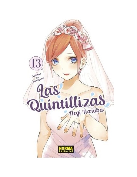 LAS QUINTILLIZAS Nº13