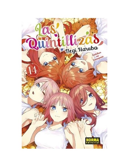 LAS QUINTILLIZAS Nº14