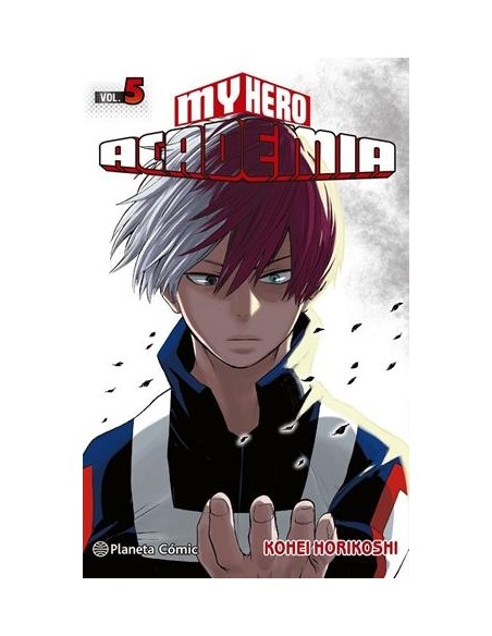 MY HERO ACADEMIA Nº05