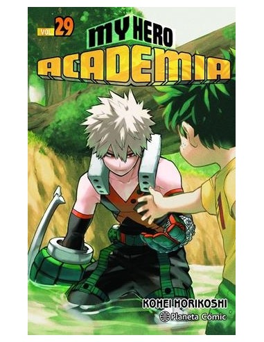 MY HERO ACADEMIA Nº29