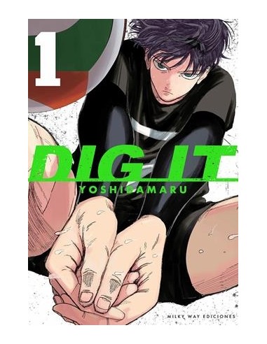 DIG IT Nº01