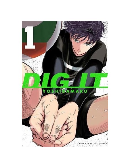 DIG IT Nº01