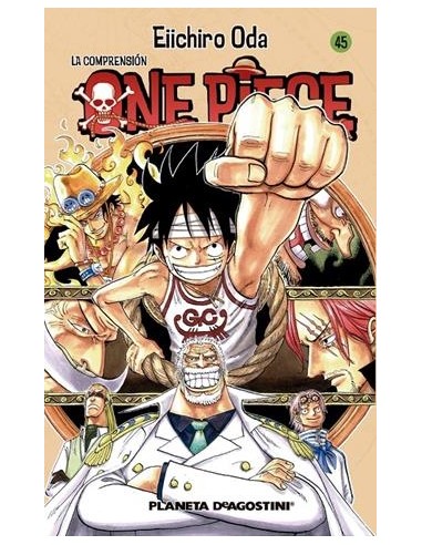 ONE PIECE Nº45