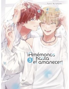 AMEMONOS HASTA EL AMANECER Nº03