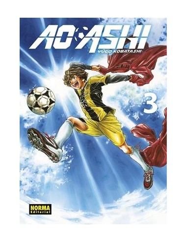AO ASHI Nº03
