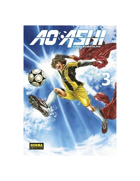 AO ASHI Nº03