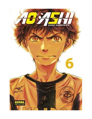 AO ASHI Nº06