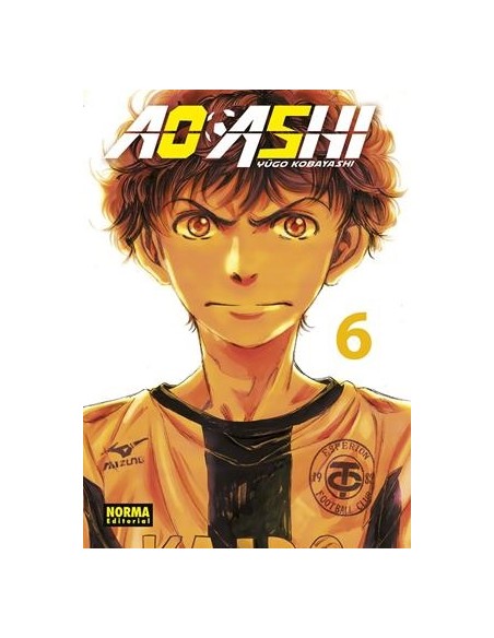 AO ASHI Nº06