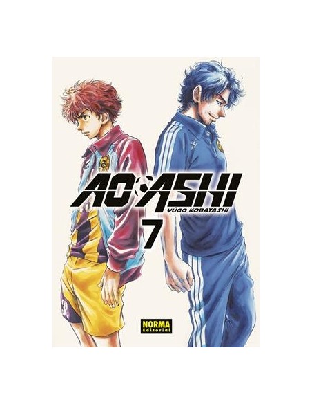 AO ASHI Nº07