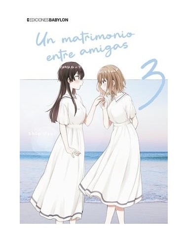 UN MATRIMONIO ENTRE AMIGAS Nº03