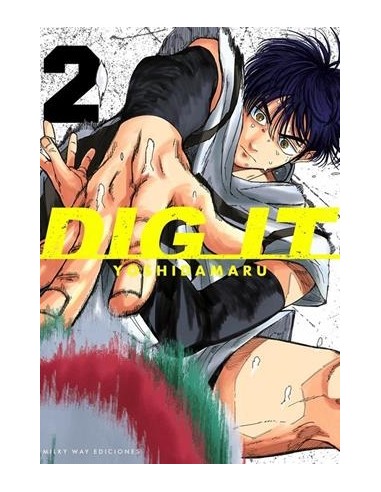 DIG IT Nº02