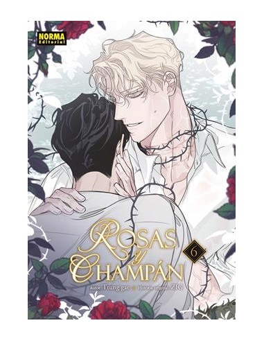 ROSAS Y CHAMPAN Nº06