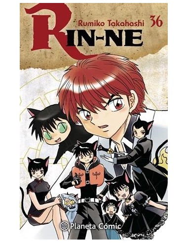 RIN-NE Nº36