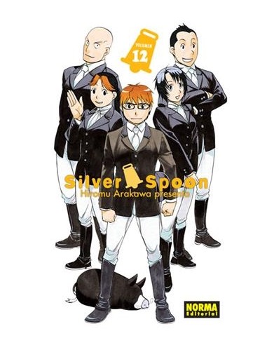 SILVER SPOON Nº12