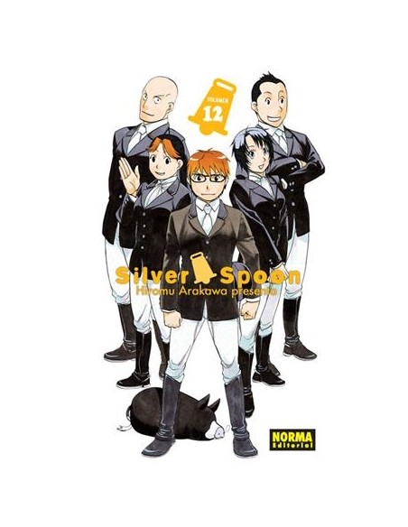SILVER SPOON Nº12
