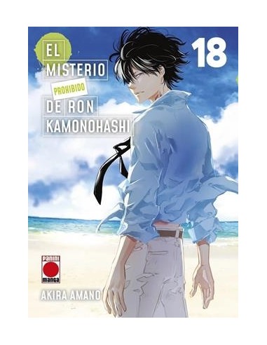 MISTERIO PROHIBIDO DE RON KAMONOHASHI, EL Nº18