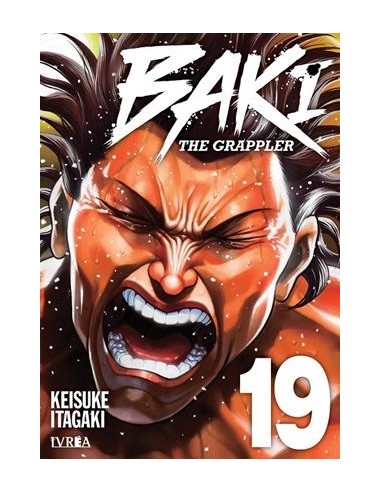 BAKI THE GRAPPLER (EDICION KANZENBAN) Nº19
