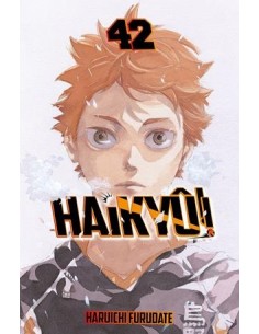 HAIKYÛ!! Nº42