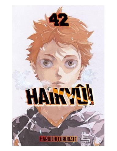 HAIKYÛ!! Nº42