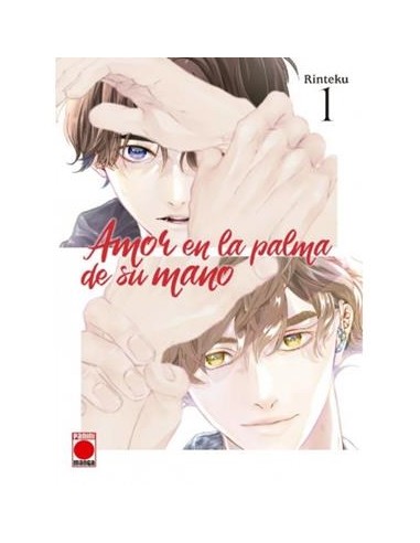 AMOR EN LA PALMA DE SU MANO Nº01