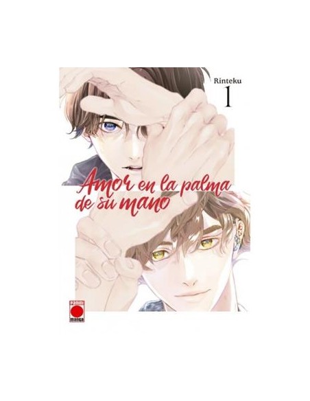 AMOR EN LA PALMA DE SU MANO Nº01