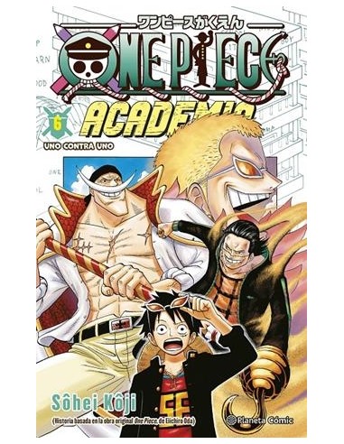 ONE PIECE ACADEMIA Nº06