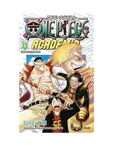 ONE PIECE ACADEMIA Nº06