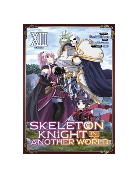 SKELETON KNIGHT IN ANOTHER WORLD Nº13