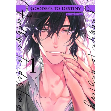 GOODBYE TO DESTINY Nº01